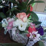 WP_002288